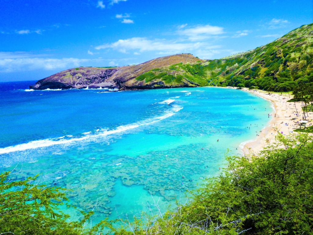 【旅行のプロが選ぶ世界のビーチリゾートランキング】第69位 ハナウマ湾(オアフ島/ハワイ)
