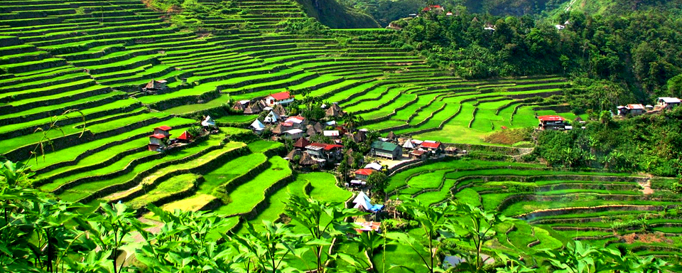 Batad village et rizières en terrasses