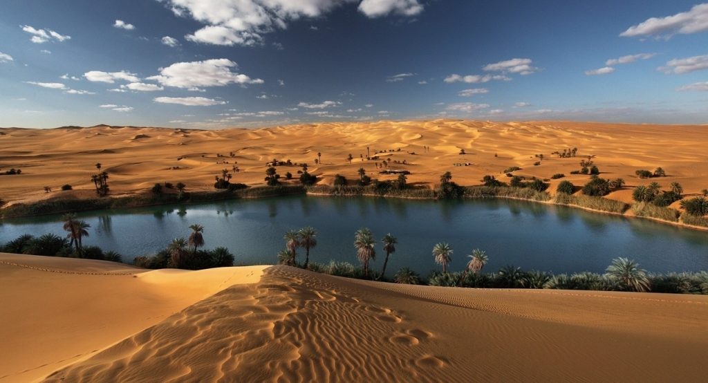 desert-oasis