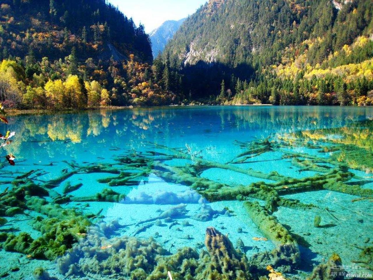 【旅行のプロが選ぶ 死ぬまでに絶対行きたい世界遺産100】98.黄龍の景観と歴史地域(中国) | Travelzaurus.com(トラベル ...