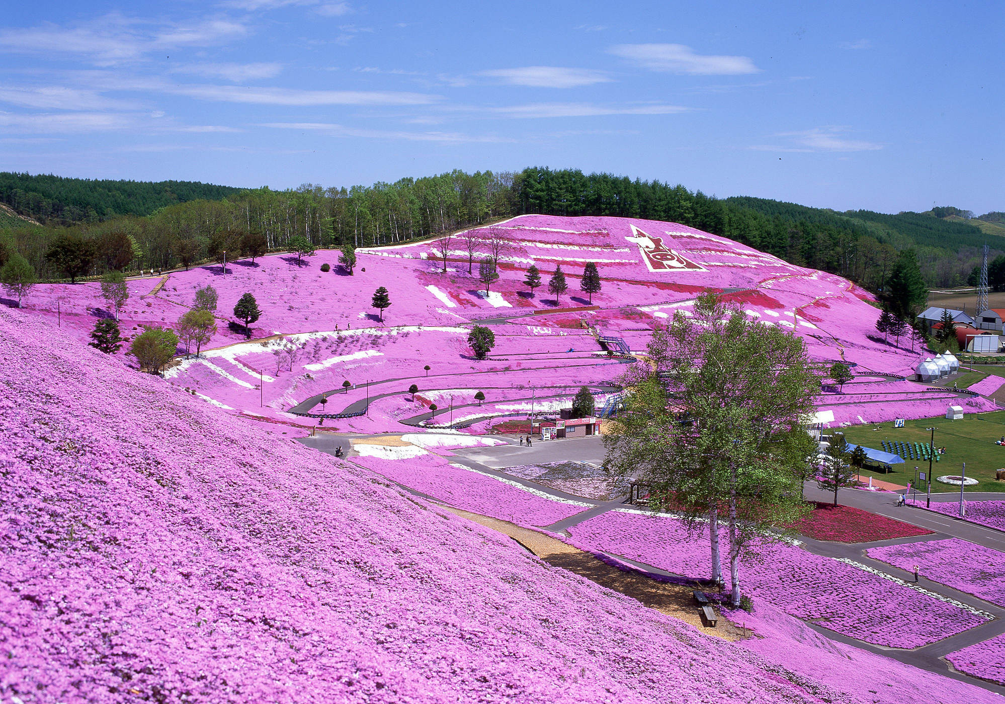 北海道に行くなら絶対に行くべき 息を呑む北の大地ならではの絶景スポット選 保存版 Travelzaurus Com トラベルザウルスドットコム