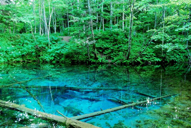 北海道に行くなら絶対に行くべき 息を呑む北の大地ならではの絶景スポット選 保存版 Travelzaurus Com トラベルザウルスドットコム