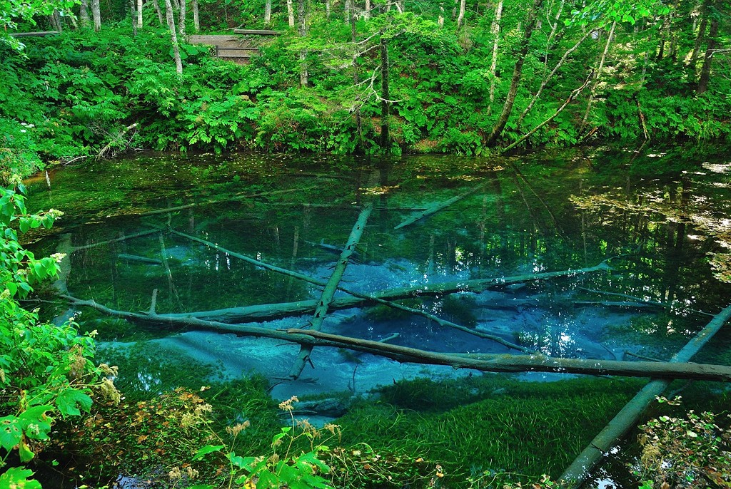 北海道に行くなら絶対に行くべき 息を呑む北の大地ならではの絶景スポット選 保存版 Travelzaurus Com トラベルザウルスドットコム