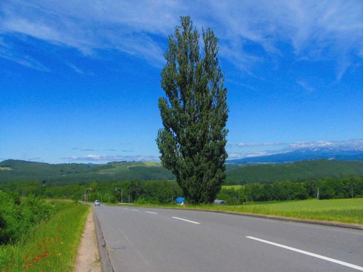 北海道に行くなら絶対に行くべき 息を呑む北の大地ならではの絶景スポット選 保存版 Travelzaurus Com トラベルザウルスドットコム