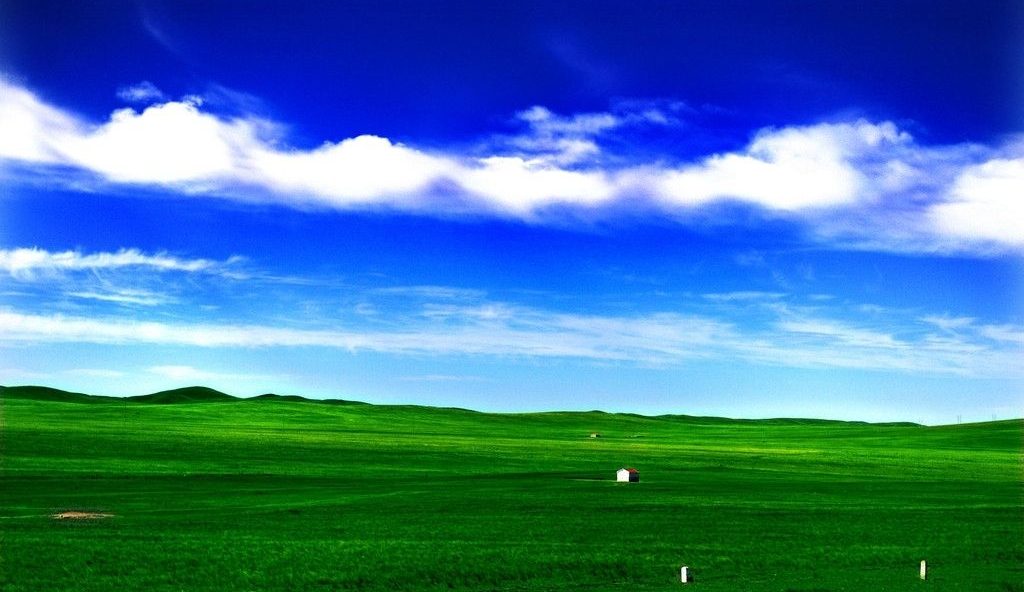 モンゴルの大草原