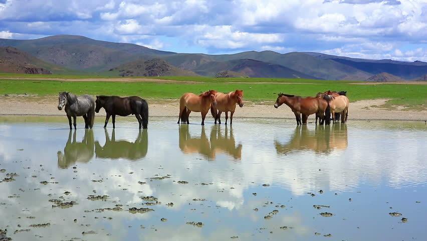 モンゴルの風景