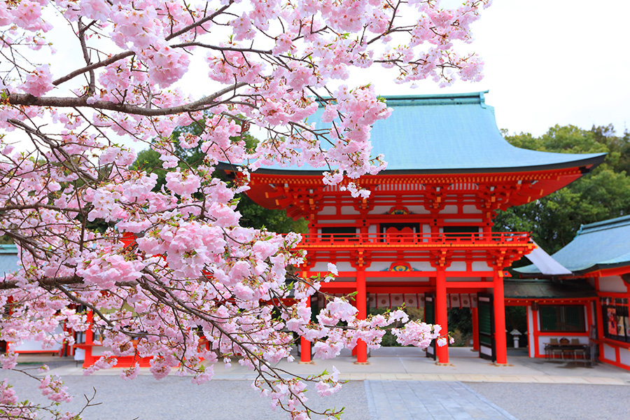 映画 ちはやふる の舞台 かるたの聖地 近江神宮 は桜景色が絶景 Travelzaurus Com トラベルザウルスドットコム