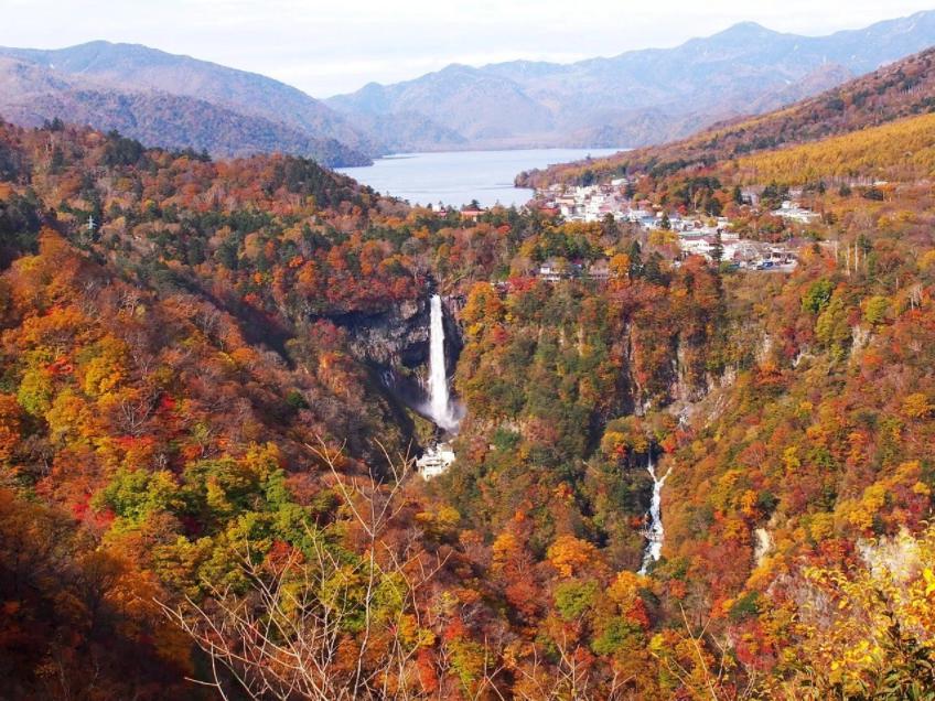 『日本三大瀑布』って、どの滝か知ってますか？ 心洗われる ...