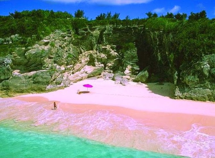 世界のピンクサンドビーチ５選 可愛くてロマンチックなピンクの砂浜 Travelzaurus Com トラベルザウルスドットコム