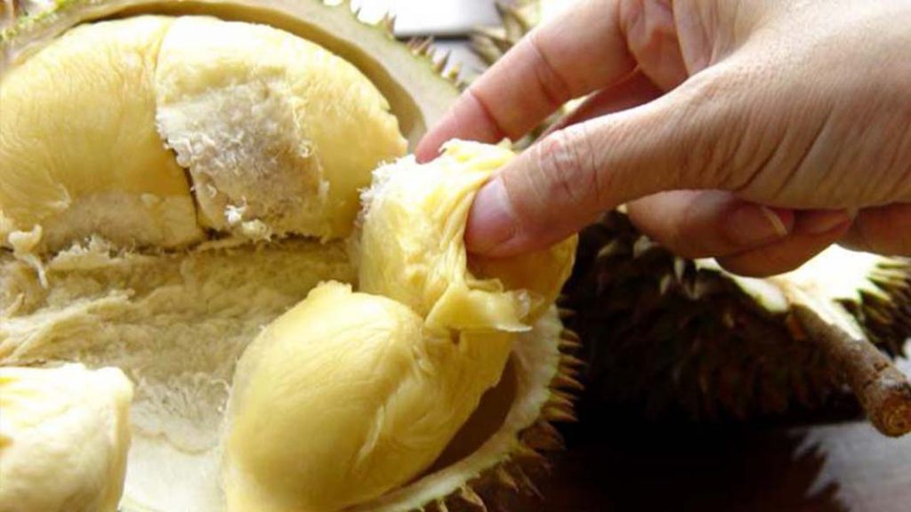 durian_3