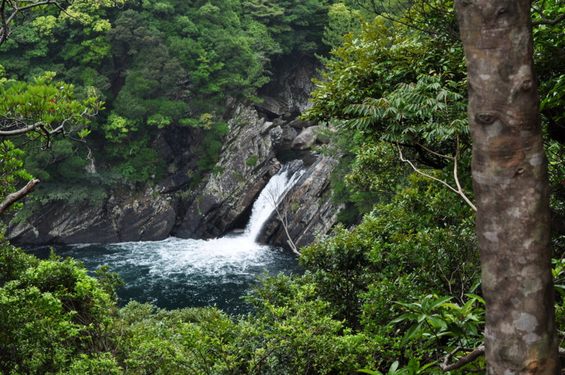 屋久島・トローキの滝