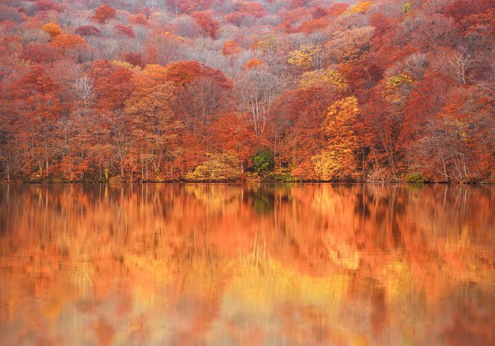 autumn_zekkei_eye