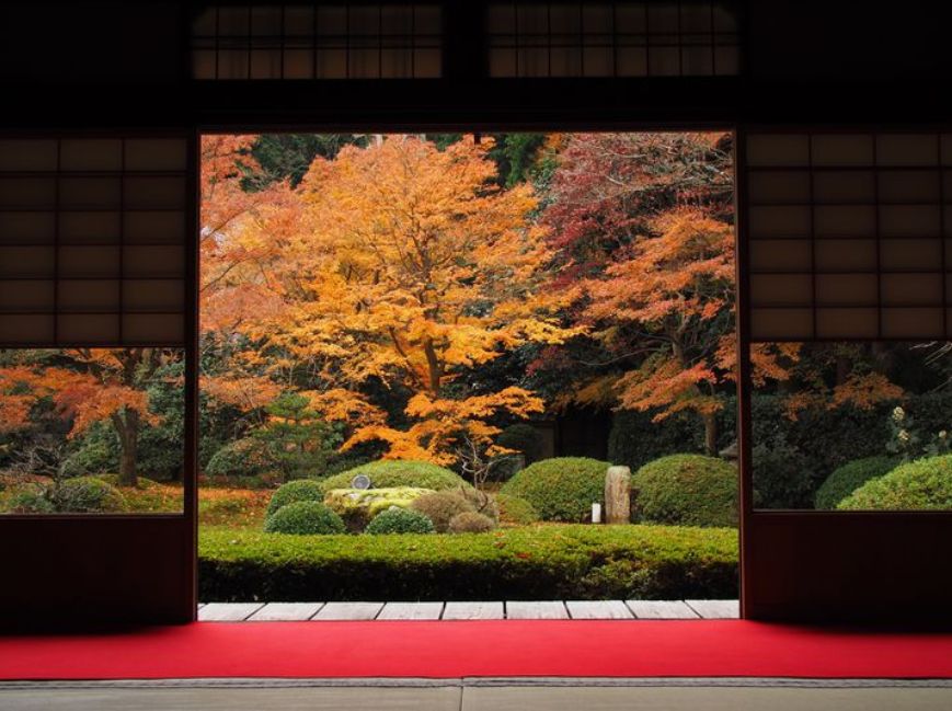 kyoto_eye
